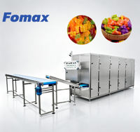 Automatische productielijn voor het vormen van vitamine snoepjes, zetmeelvormen, melkgelei en suikervormen.
