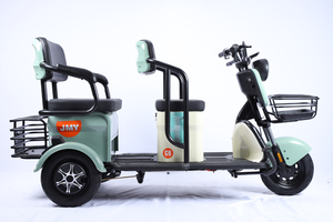 Gia Đình Sử Dụng Trung Quốc Cao Guality Mạnh Mẽ Nhất Tốc Độ Cao 48V 600W 800W Ba Bánh Điện 1000W 3 Bánh Xe Cho Người Lớn - Product Image 4