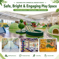 Équipement de terrain de jeux intérieur sur le thème de la nature pour centre de divertissement familial avec toboggans et jeux souples