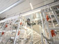 Tube LED T5 professionnel à intensité variable, haute efficacité, multicolore, pour élevages avicoles intérieurs, installation facile, étanche IP67, garantie 3 ans