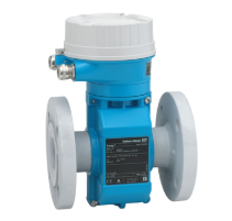 เครื่องวัดอัตราการไหล Endress Hauser Proline Promag P 10 100 200 30 500 สำหรับการวัดน้ำ - Product Image 1