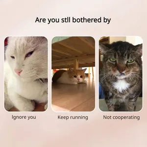 Jouet photo pour animaux de compagnie (chats, chiens, petits animaux) – Support de téléphone portable multifonctionnel en plastique à motif de dessin animé avec clip selfie - Product Image 2