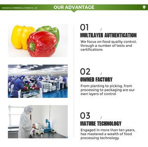 Prodotto fresco e delizioso dalla cina fresco verde rosso congelato triturato peperoncino fresco di alta qualità per l'esportazione buon prezzo basso - Product Image 6