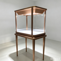 Vitrine de présentation de luxe sur mesure en acier inoxydable antique à pieds fins pour montres, musées et expositions