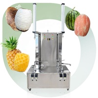 Kalebas Huid Verwijderen Deel Jonge Fruit Dunschiller Automatische Thuis Kokosnoot Guangdong Peel Meloen Machine