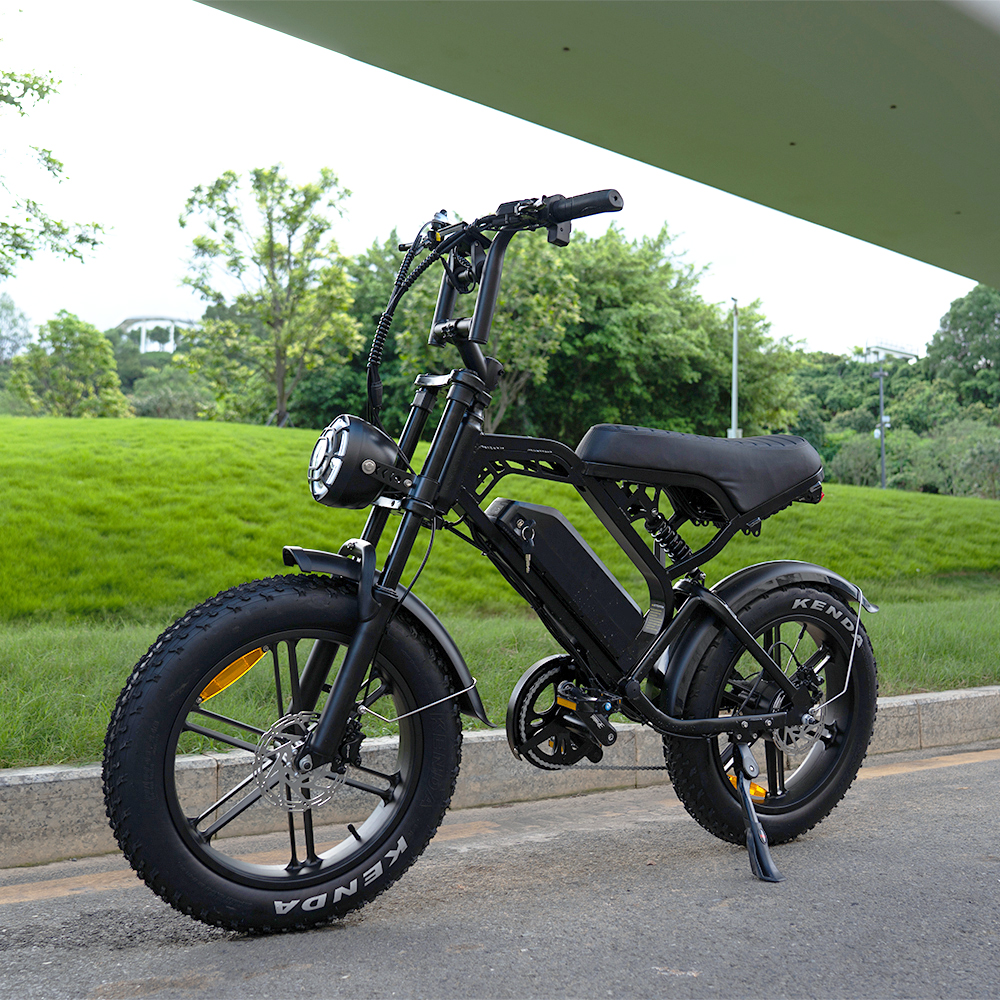 Factory-Price-Buy-Fat-Tire-
