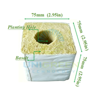 Cubes de laine de roche hydroponiques 75x75x75mm avec trous pour plantes, écologiques, cubes de culture pour serre intérieure, semis hydroponiques