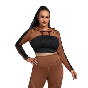 Plus Size Women's Shorts  Leggings Wholesale Superstore