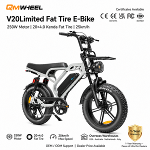 Bicicleta eléctrica QMHEEL V20 Limited con batería de litio de 48V 18.2Ah, 20 pulgadas, tipo Fat Bike, para distribuidores mayoristas, almacén en la UE. - Product Image 1