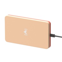 Panneau chauffant pour oiseaux 5V USB à chauffage rapide en 30 secondes, coque ABS ignifuge V0, chauffage pour perroquets avec cordon anti-morsure pour cage à perroquets