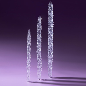 Dildos SM Súper Largos con Forma de Pepino de Mar, Tapón Anal con Púas, 100% Impermeable, Sensación Realista, Juguetes Sexuales Suaves - Product Image 2