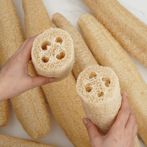 HOT SELLING Organic Bulk Luffa Loofah Slices Natural Soap Making <b>Scrubber</b> <b>Body</b> Sponge Exfoliating Skin Care Supplies for Bath - Product Image 1