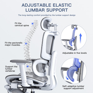Lingtuo Ergonomic <b>Office</b> Chair X265 <b>Adjustable</b> Backrest Tilting <b>Desk</b> Chair For Home <b>Office</b> Use - Product Image 3