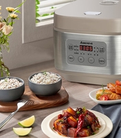 Cuisinière à riz multifonction intelligente 5L en plastique, alimentée par batterie, revêtement antiadhésif, contrôle numérique du minuterie, cuisson rapide pour 3 à 10 personnes
