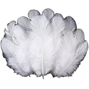 Plumas de Ganso Naturales para Manualidades, Decoración, Sombreros, Disfraces, Accesorios para el Cabello, Carnaval, Fiesta, Boda, Decoración Navideña - Product Image 3