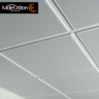 Plafón Decorativo Interior Moderno, Falso Techo Suspendido de Aluminio Perforado, Paneles Metálicos para Techo