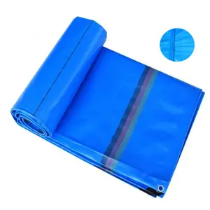 Semi-Tarpaulin for the Car Light Blue PE Tarpaulin 210 GSM