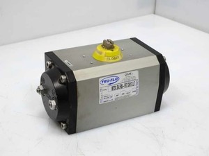QSM INC MT31.S4.F05-F07.CH17.LT ACTUATEUR - Product Image 1