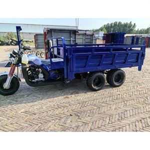 Tricycle à moteur de 350 cm³ pour le transport de marchandises, tricycle à 9 roues pour le fret - Product Image 3