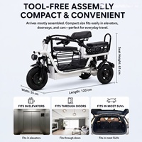 Triciclo Eléctrico de 3 Ruedas para Adultos, 3 Velocidades, Mini Scooter Eléctrico de 10 Pulgadas, Batería de Plomo-Ácido para Desplazamientos Urbanos, Uso con Mascotas y Pasajeros