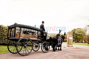 Funeral Buggy Chariot Hearse Manufacturers Funeral Horse Carriage Funeral Carriage Funeral Special Transportation - Product Image 5