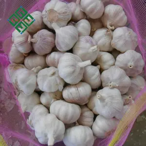 3p 4p 5p Wholesale New Fresh Garlic Supplier Normal White Garlic Alho Ail Factory Manufacturer Good Quality Jinxang Ajo