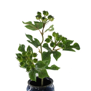 Yopin-2243 nóng bán nhân tạo bọt táo gai lá chi nhánh cho trang trí nội thất - Product Image 3