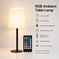 Lampe de table moderne CoolQing RGB à ambiance lumineuse, 16 couleurs, rechargeable par Type-C, étanche IP65 avec télécommande, OEM ODM pour hôtel et bar