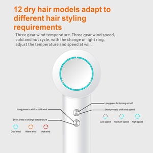 Sèche-cheveux avec contrôle thermostatique 270 millions d'anions Fabrication de sèche-cheveux professionnels OEM ODM <span class=keywords><strong>PLUZZ</strong></span> X116 - Product Image 5