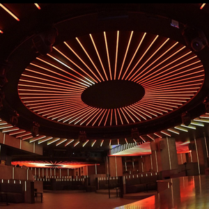 Iluminación LED de Tubo de Píxeles Digitales RGB con Controlador DMX512/SPI Direccionable, Resistente al Agua IP68, para Puentes, Hoteles y Discotecas - Product Image 2