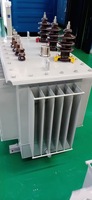 Transformateur de distribution triphasé immergé dans l'huile S11/S13/S20/S22, 50/60Hz, entrée 10KV/20KV, sortie 380V/400V