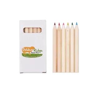 Conjunto de lápices de colores personalizados Mini promocional
