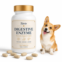 Comprimés d'enzymes pancréatiques pour chiens : Complexe Trypsine, Pepsine, Lipase – 100 unités – Soutien digestif quotidien naturel – Vente en gros