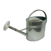 Fabricant en gros d'arrosoirs de 9 L en acier galvanisé, revêtement poudré, de luxe, durables, écologiques, avec bec long amovible pour rosiers