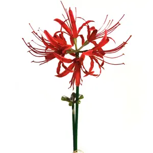 Artificial Rainforest Orchid Pittosporum Manzanita Fake Flowers Wedding Decorative Flowers