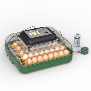 Ferme avicole incubateurs à œufs éclosoir capacité 30 œufs <span class=keywords><strong>machine</strong></span> à couver les œufs de <span class=keywords><strong>poussin</strong></span> - Product Image 1
