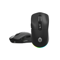 Mouse para Juegos RGB OEM ODM, Tri-modo, Ultraligero, 205IC, Inalámbrico, Recargable, con Logotipo Personalizado
