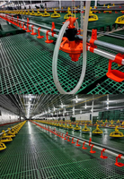 Poulet coop pour la pose ferme poulailler pour vente