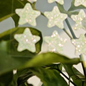 Parches <span class=keywords><strong>para</strong></span> espinillas en forma de estrella, hidrocoloides, brillantes, nuevos, veganos, libres de crueldad animal, sin parabenos, a base de plantas naturales. - Product Image 4