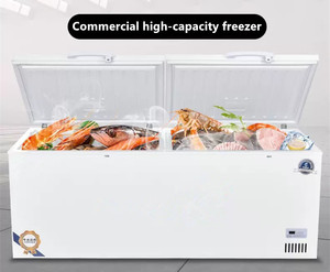 Congeladores Horizontales, Refrigeradores y Almacenamiento en Frío, Congeladores Profundos en Venta, Refrigerador para Supermercado - Product Image 3