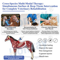 Appareil de thérapie par ondes de choc focalisées sur la fréquence (1-10 Hz) pour la vitalité musculaire des athlètes équestres – Qualité supérieure – Prix compétitif