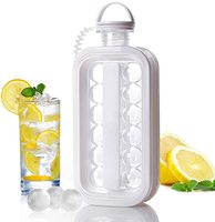 Grille à Glace d'Extérieur Multi-usages pour Boissons et Crèmes Glacées – Moule à Boules de Glace Portable