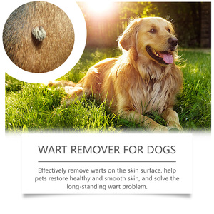 Líquido para el Cuidado Diario de la Piel de Perros y Gatos Dog Koyu, Enriquecido con Vitaminas C, E y Glicerina, Limpieza Suave e Hidratación, 20 ml - Product Image 4