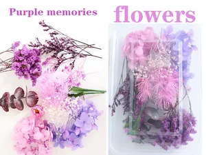 Kit <span class=keywords><strong>de</strong></span> Matériaux DIY pour Fleurs Éternelles <span class=keywords><strong>de</strong></span> Noël : Hortensia, Sargasse, Fleurs Séchées, Fleurs Flottantes Parfumées - Product Image 3