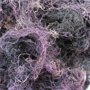 Ietnamese-algas secas de sargaso de alta calidad, 99 G, datos antiguos con amor - Product Image 1