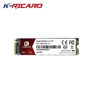 킹리치 PCIe 4.0 Gen4 솔리드 스테이트 드라이브 512GB 1TB 2TB 고속 옵션