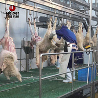 Chaîne de production clé en main pour l'abattage de moutons et d'agneaux, avec moteur, roulement et acier inoxydable 304
