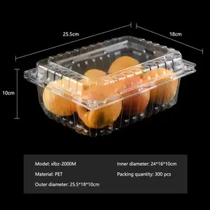 Caja de plástico desechable personalizada para fruta, contenedor transparente para mascotas de supermercado