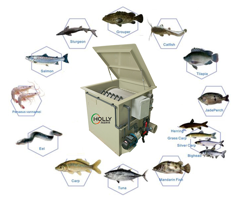 RAS Fish Farming Marine Aquarium Equipment