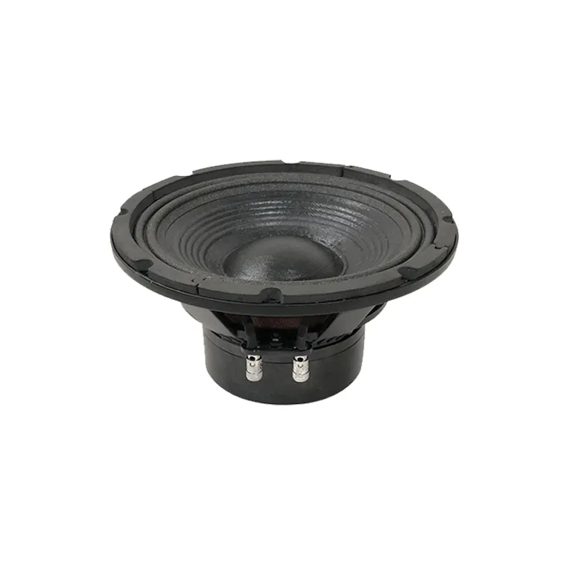 High-Power 8-Inch Professional Audio Loudspeaker PRO PA Speaker for Video & Lighting